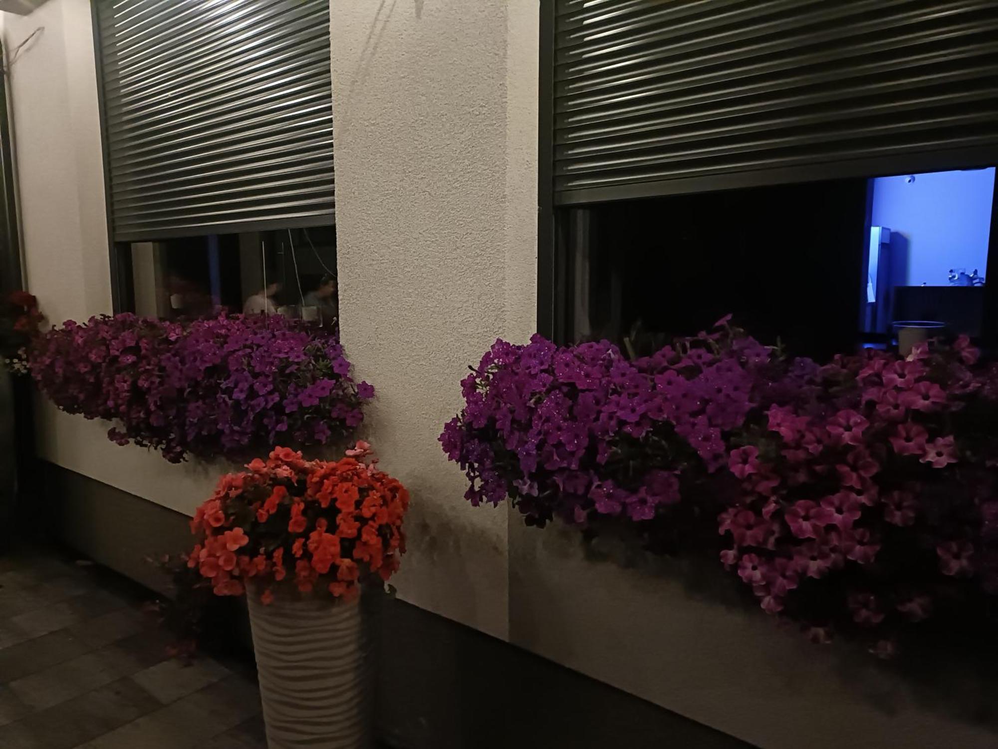 Hotel Lesne Niebo Lubniewice Exterior foto